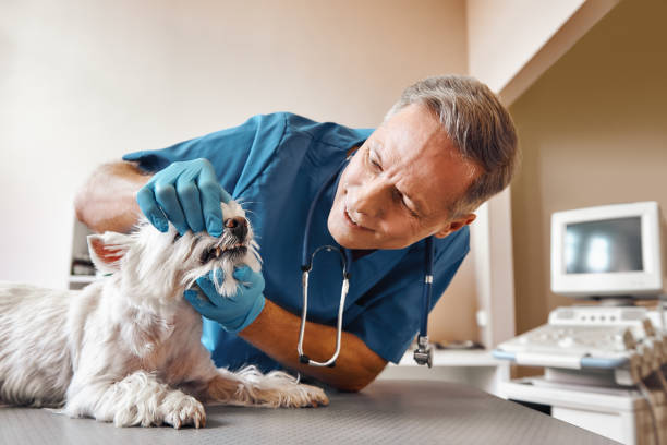 Best Emergency Wisdom Teeth Removal in Lincoln University, PA